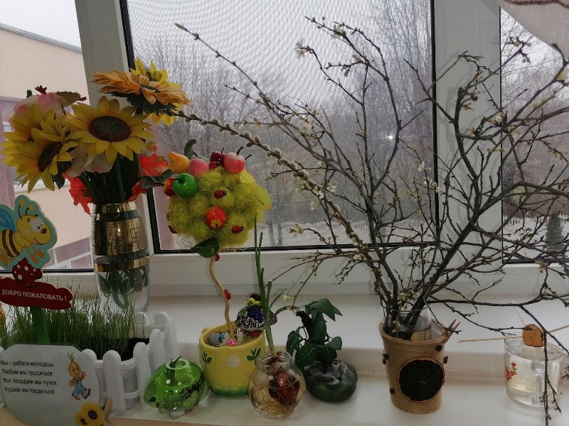 огород Фантазеры