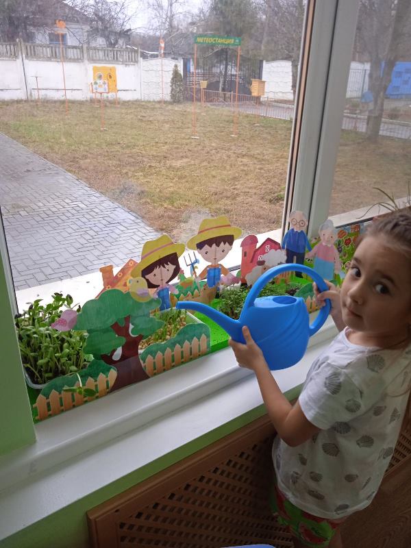 Огород Затейники