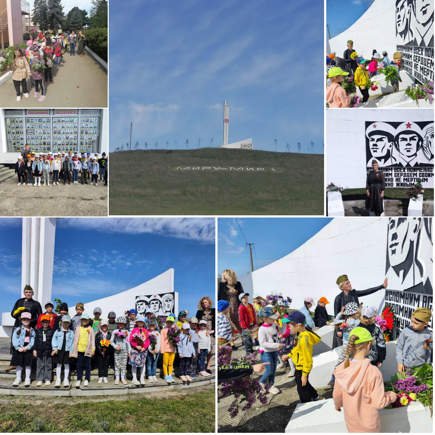 Подсолнушки