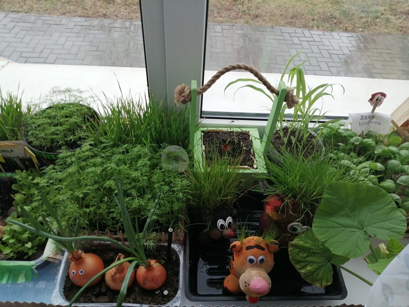 Огород Лучики