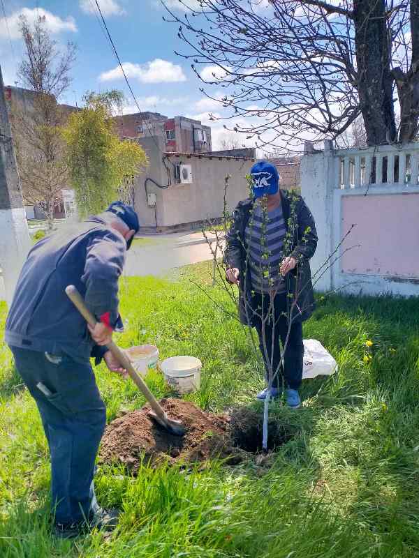 Акция "Посади свое дерево жизни"