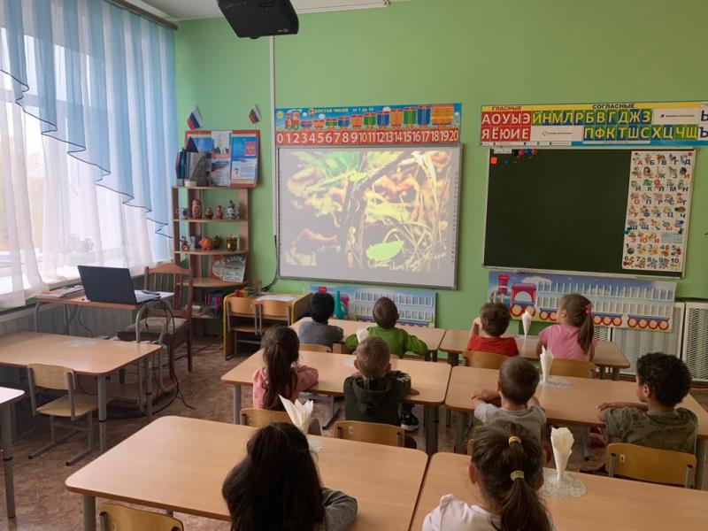 Урок Эколят 2022 группа "Горница"