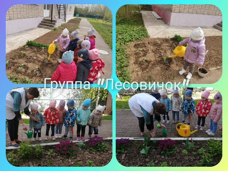 Огород на окошке