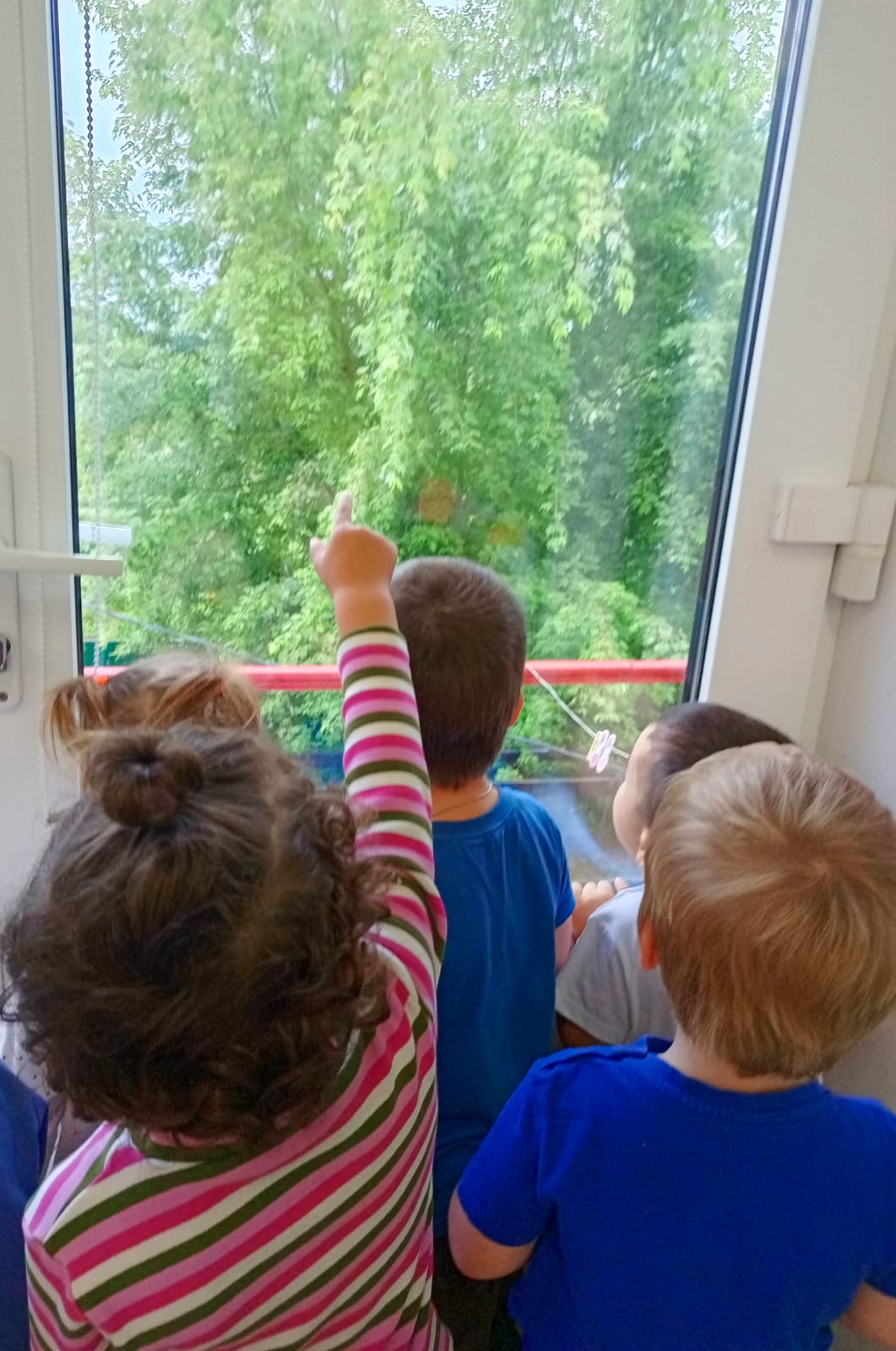 Наступила пора летних дождей