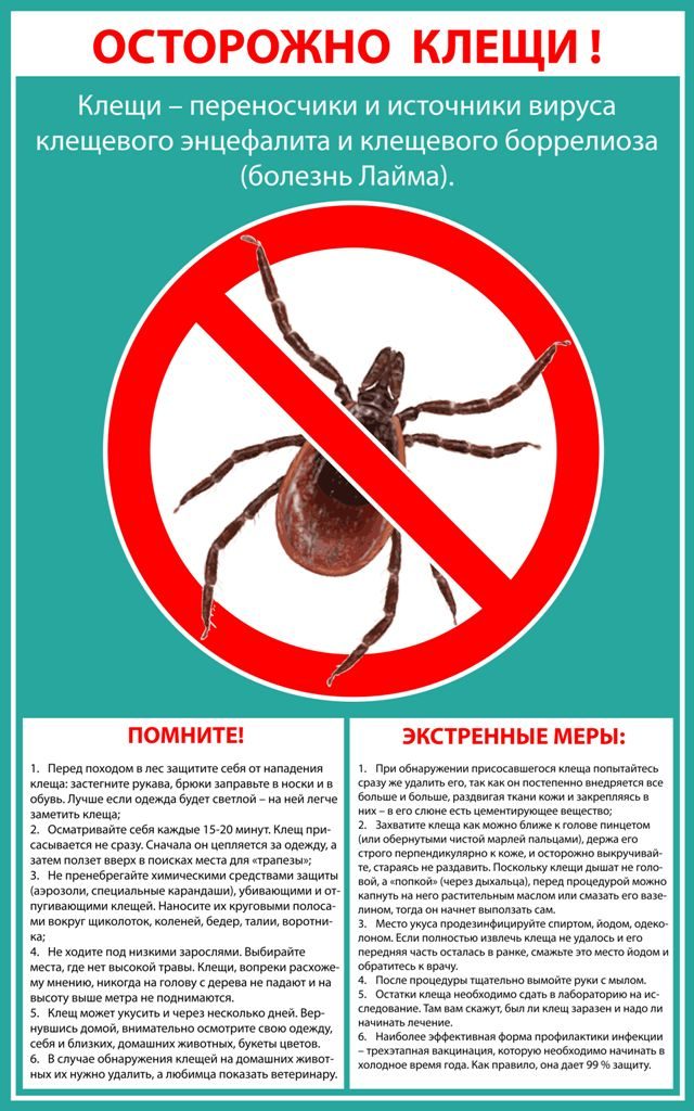 ОСТОРОЖНО! КЛЕЩИ!