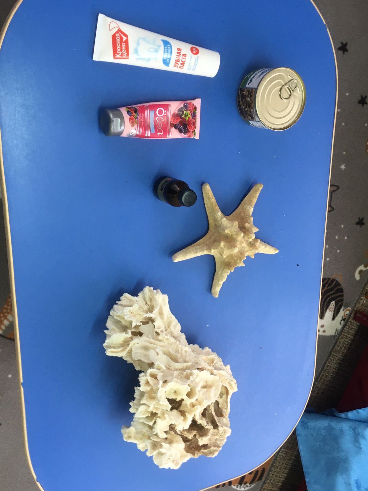 Путешествие в подводный мир.