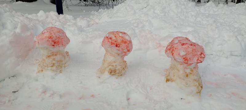 Родители – волшебники, создатели «Сказки из снега»