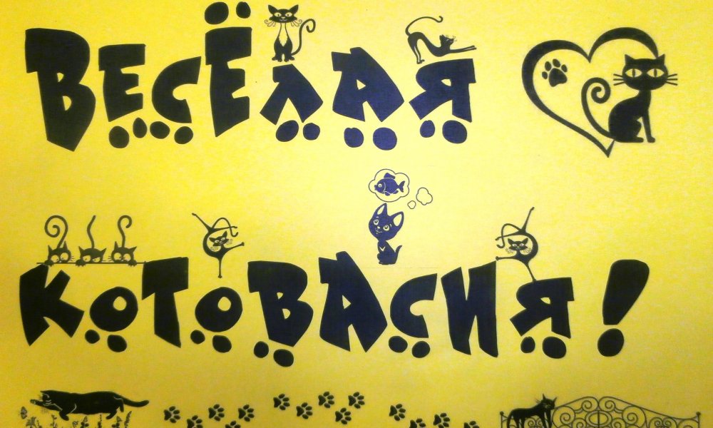 *ВЕСЕЛАЯ КОТОВАСИЯ*