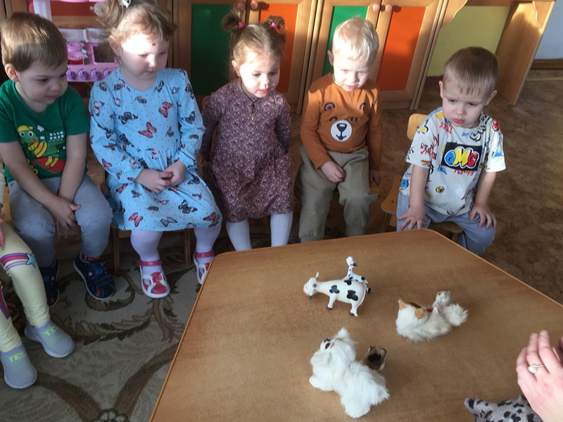 Открытое занятие «Домашние животные и их детёныши»