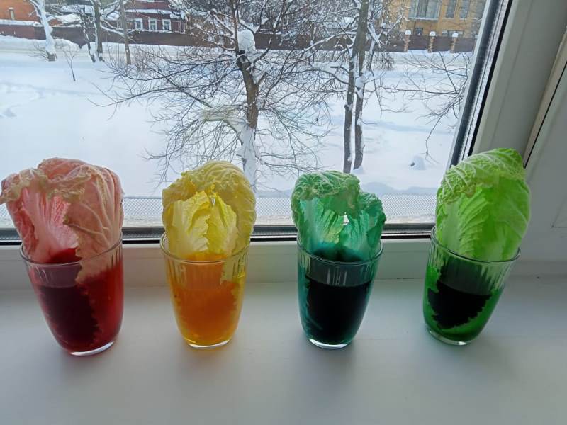 Эксперименты снова и снова в экологическом театре!