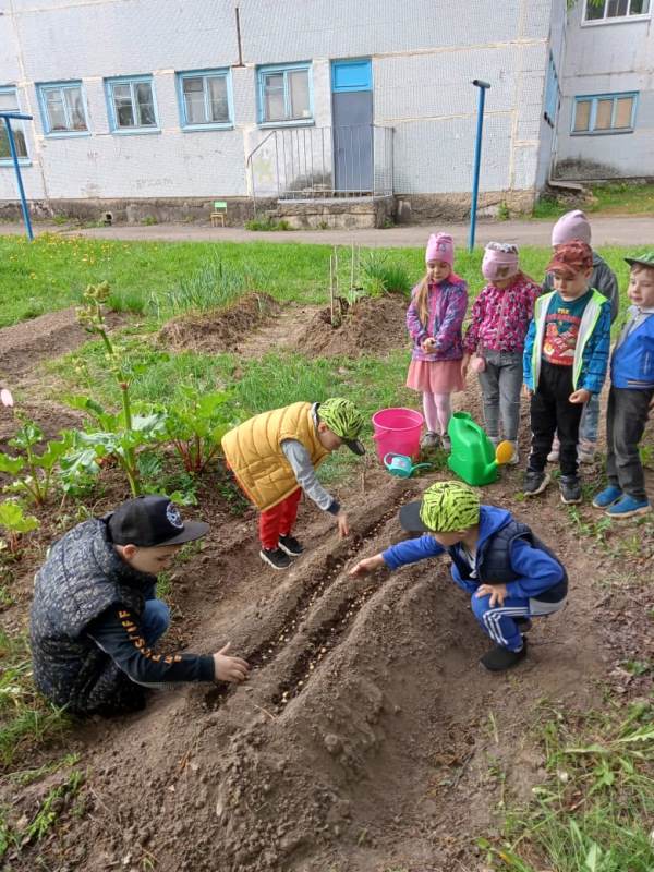 Огородные эксперименты в детском саду