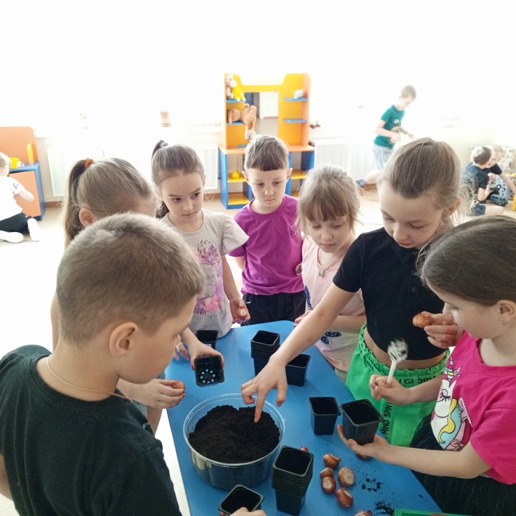 "огорода на подоконнике"