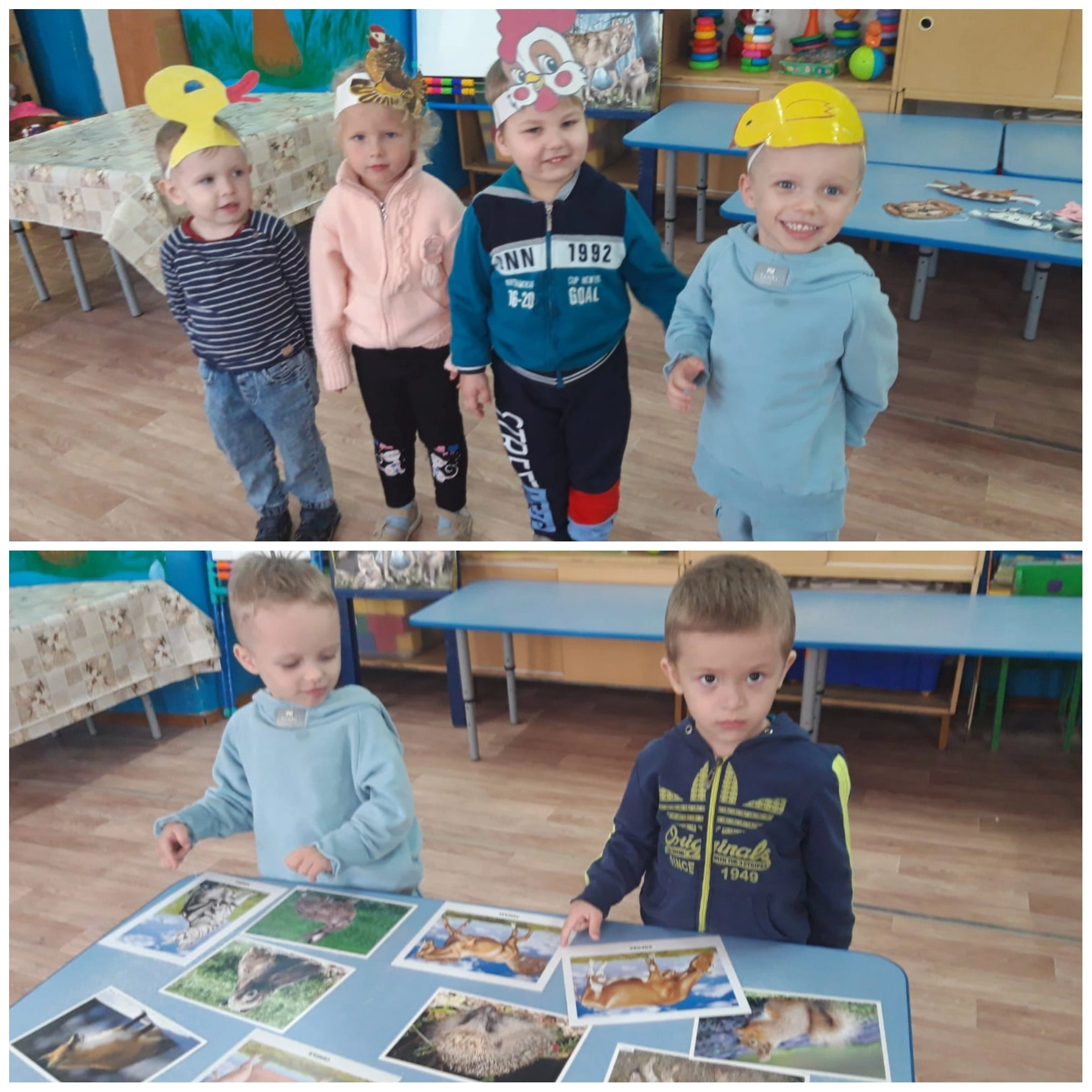 «Береги животных!»