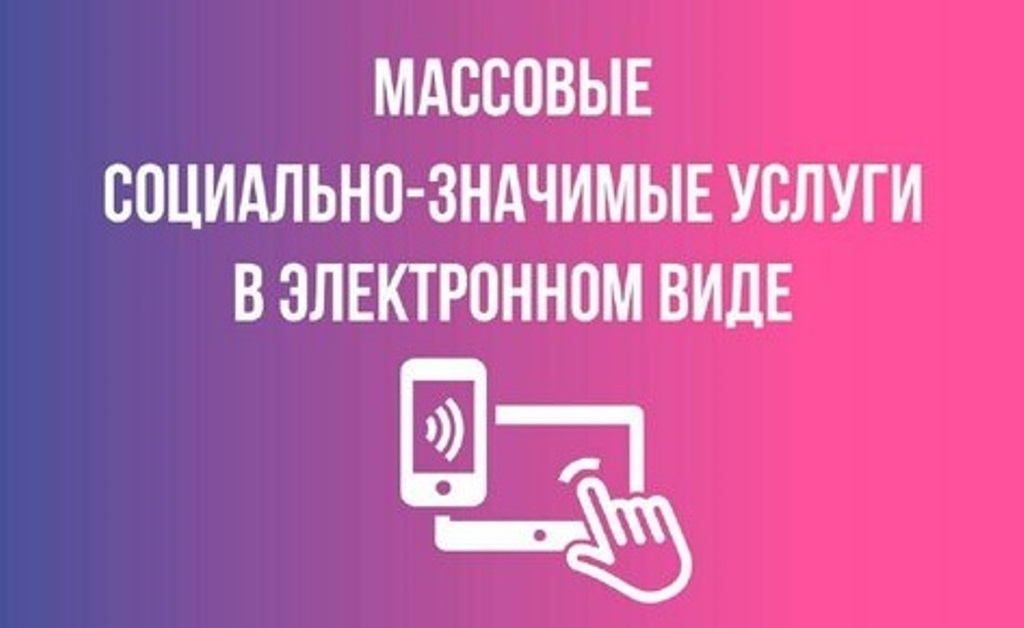 Возможности получения массовых социально значимых услуг посредством единого портала государственных и муниципальных услуг