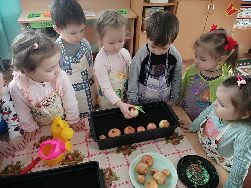 Огород на подоконнике