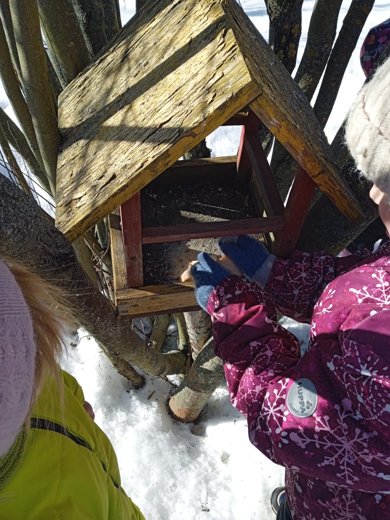 Акция "Покормите птиц зимой"»