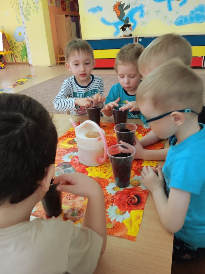 Огород на подоконнике