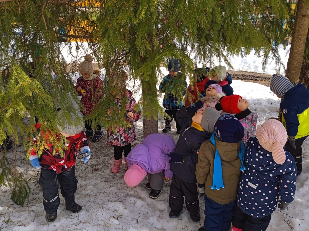 «День леса»
