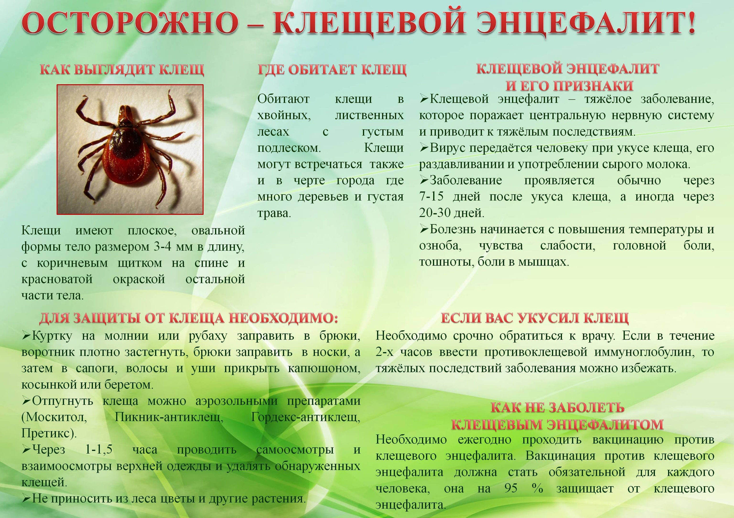 Информация по клещевому энцефалиту