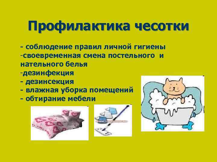 Профилактика чесотки