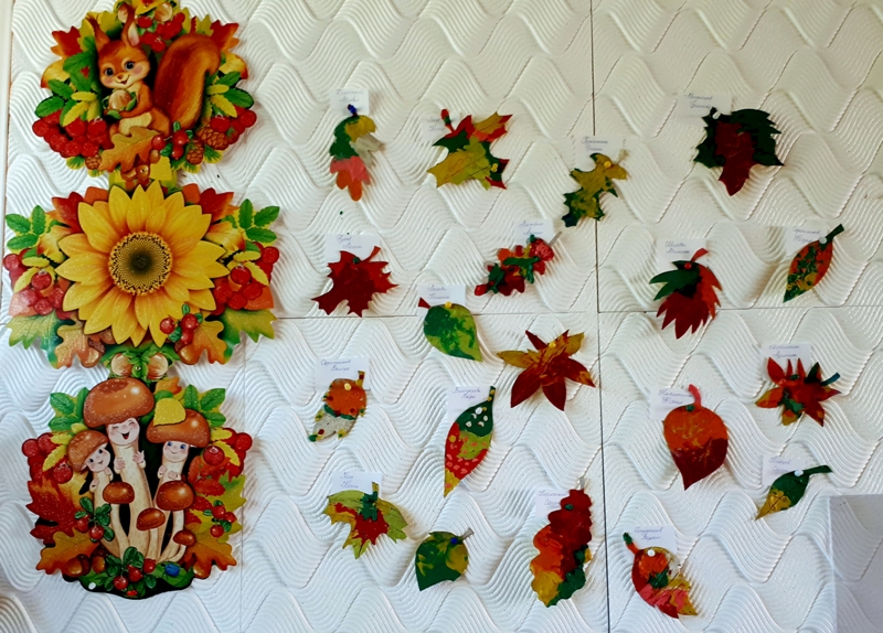 Российские дни леса