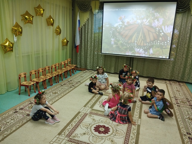 День бабочки