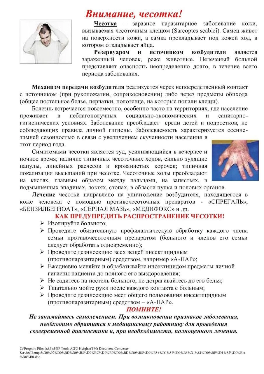 Внимание, чесотка!