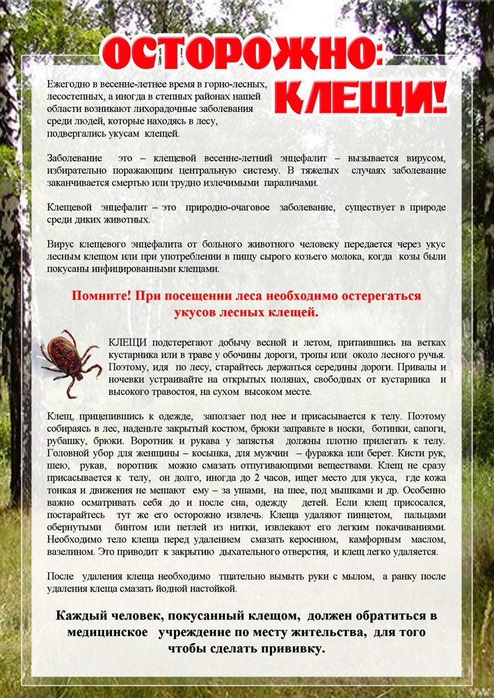 «ОСТОРОЖНО - КЛЕЩИ!»