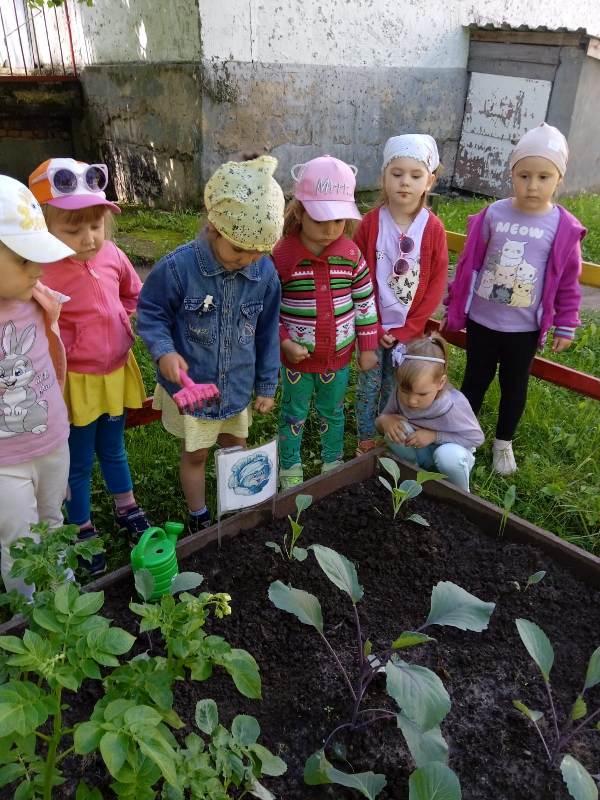 «Наш веселый огород»