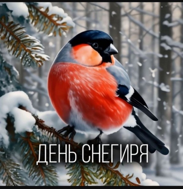 День снегиря