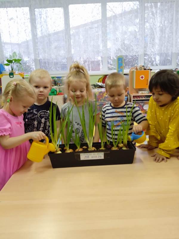 "Волшебный лук"