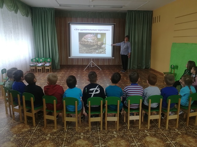 «23 мая – Всемирный день черепахи»