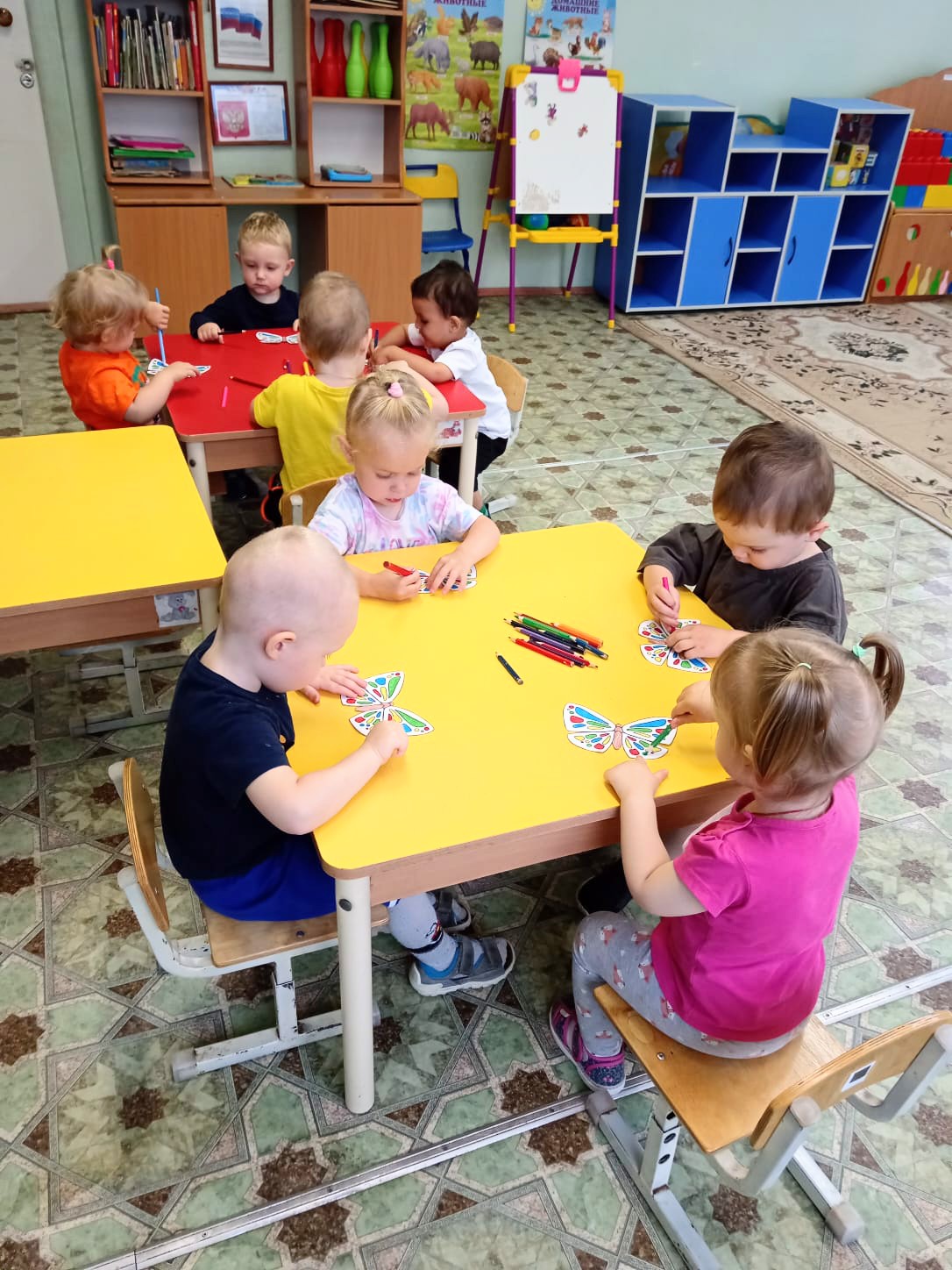 День бабочек