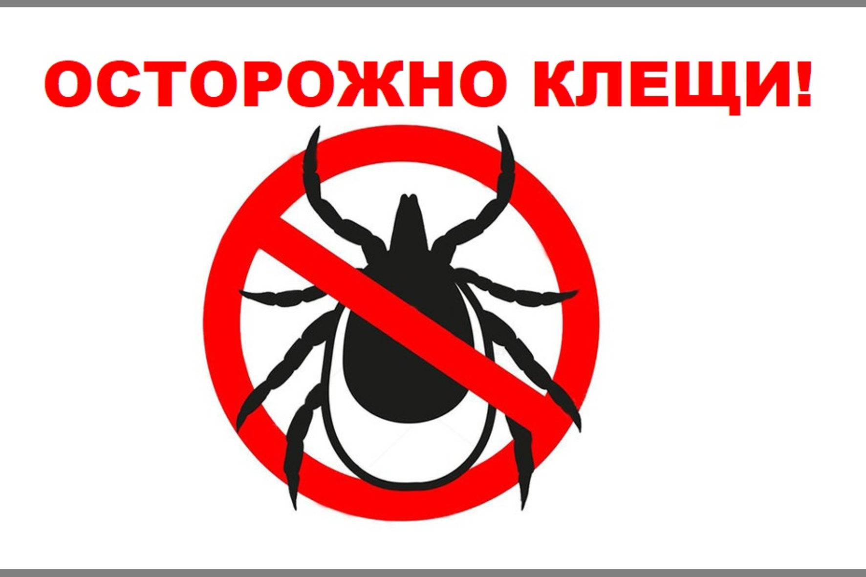 «ОСТОРОЖНО - КЛЕЩИ!»