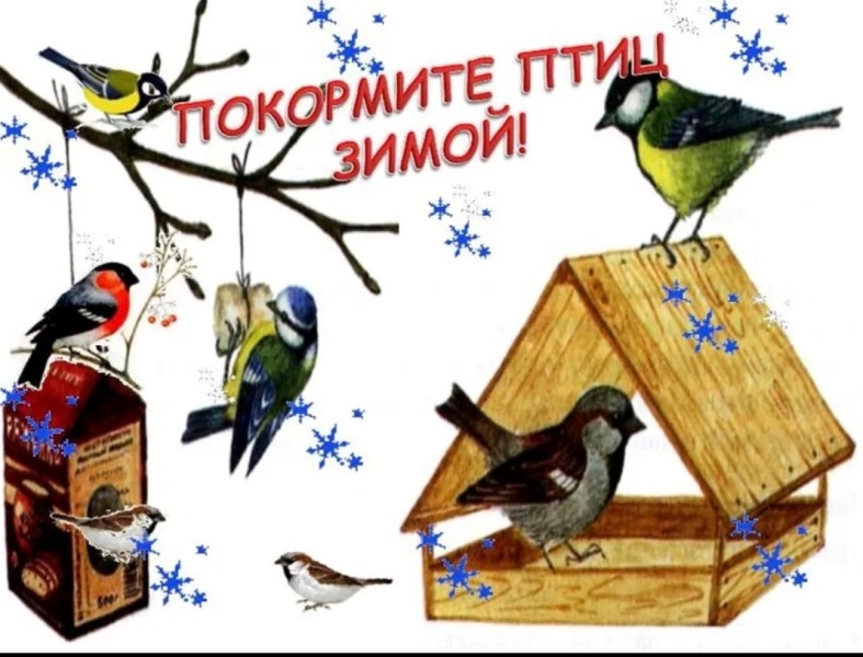Покормите птиц зимой!