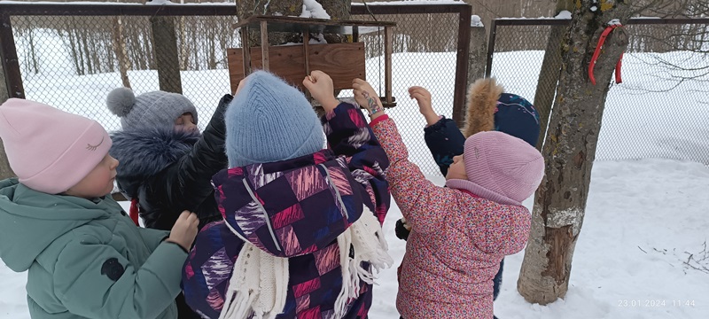 Покормите птиц зимой!