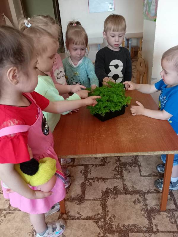 «Цветы сажаем – клумбу украшаем»