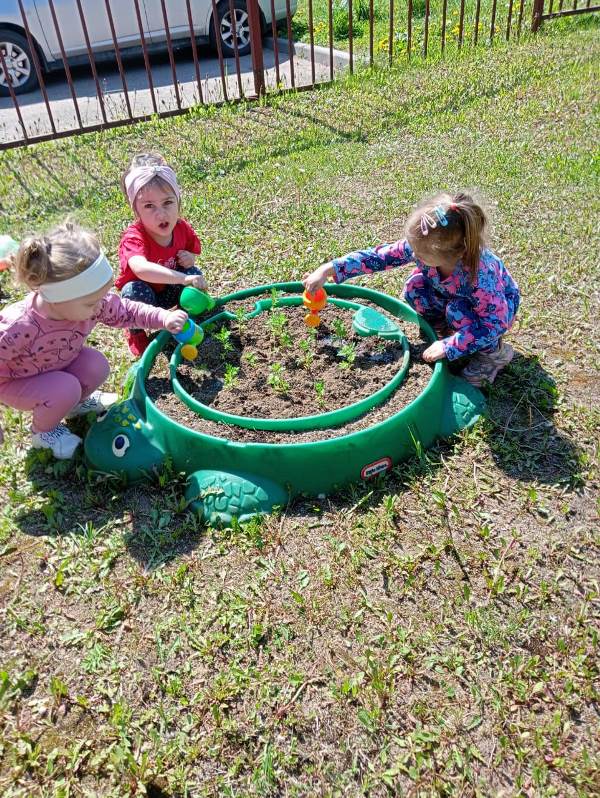 «Цветы сажаем – клумбу украшаем»