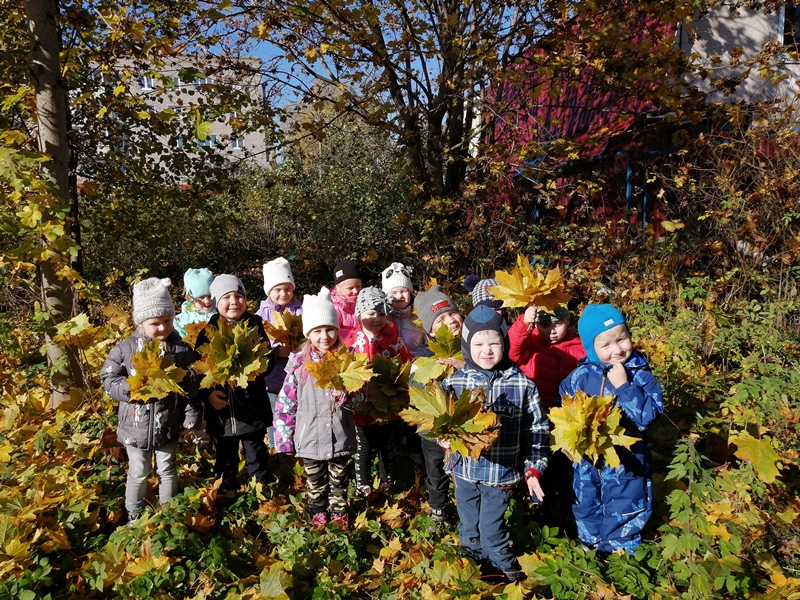 Осени желтые листья…