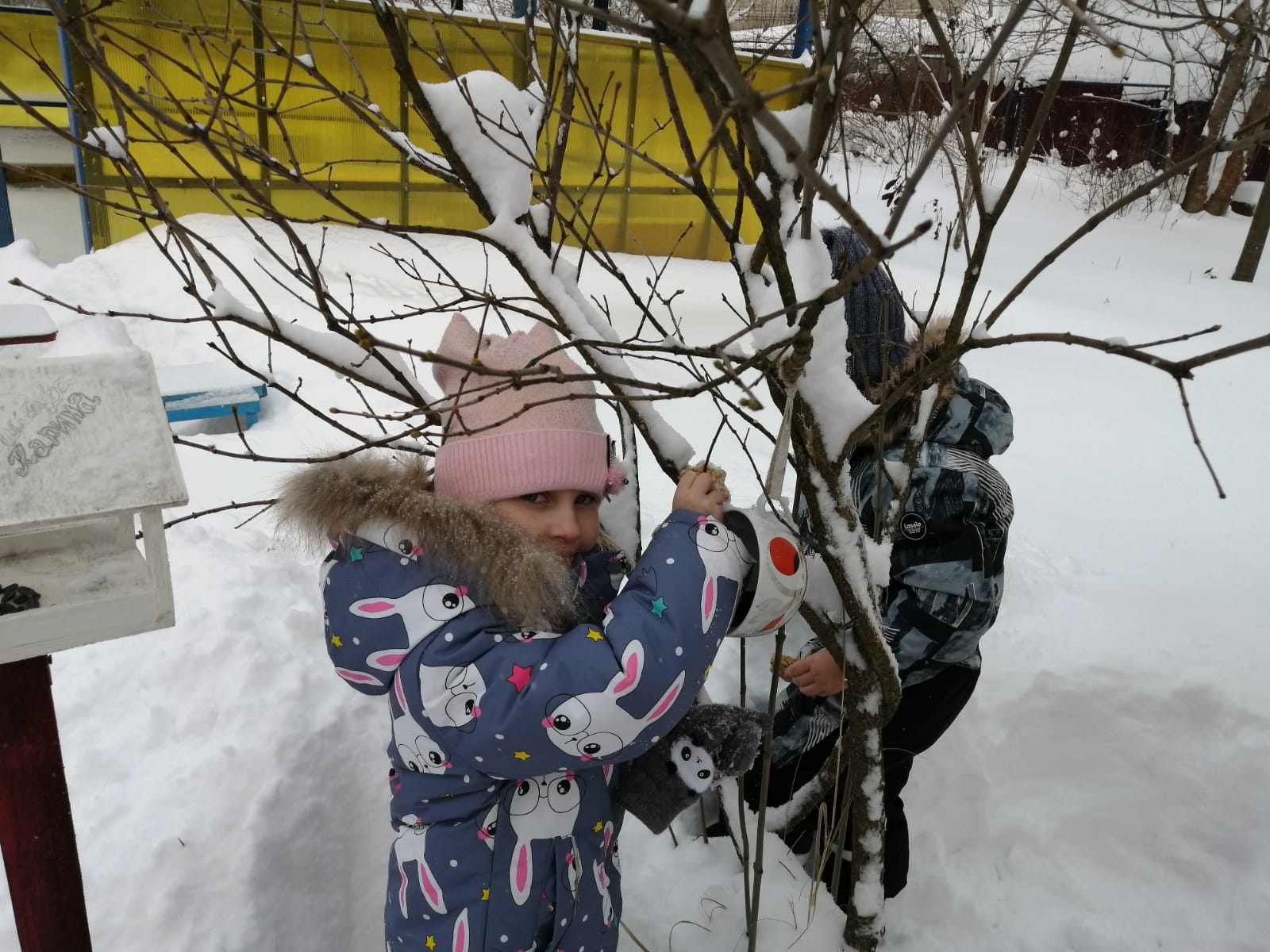 Птичья столовая открылась!