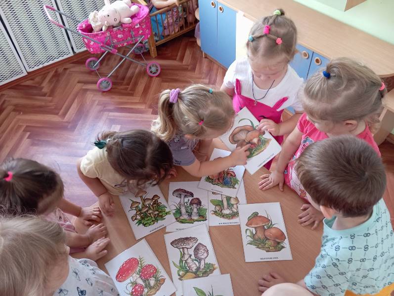 Безопасность в лесу