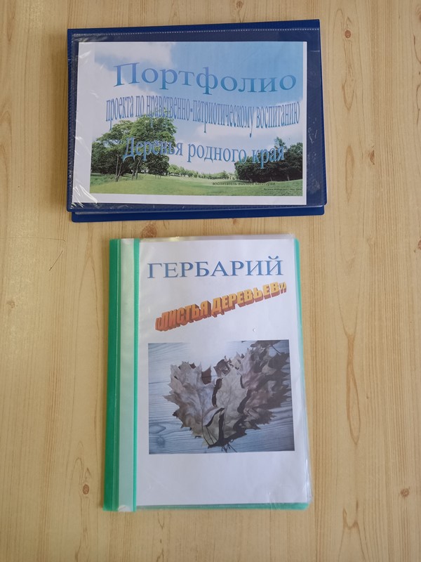 Аукцион педагогических идей