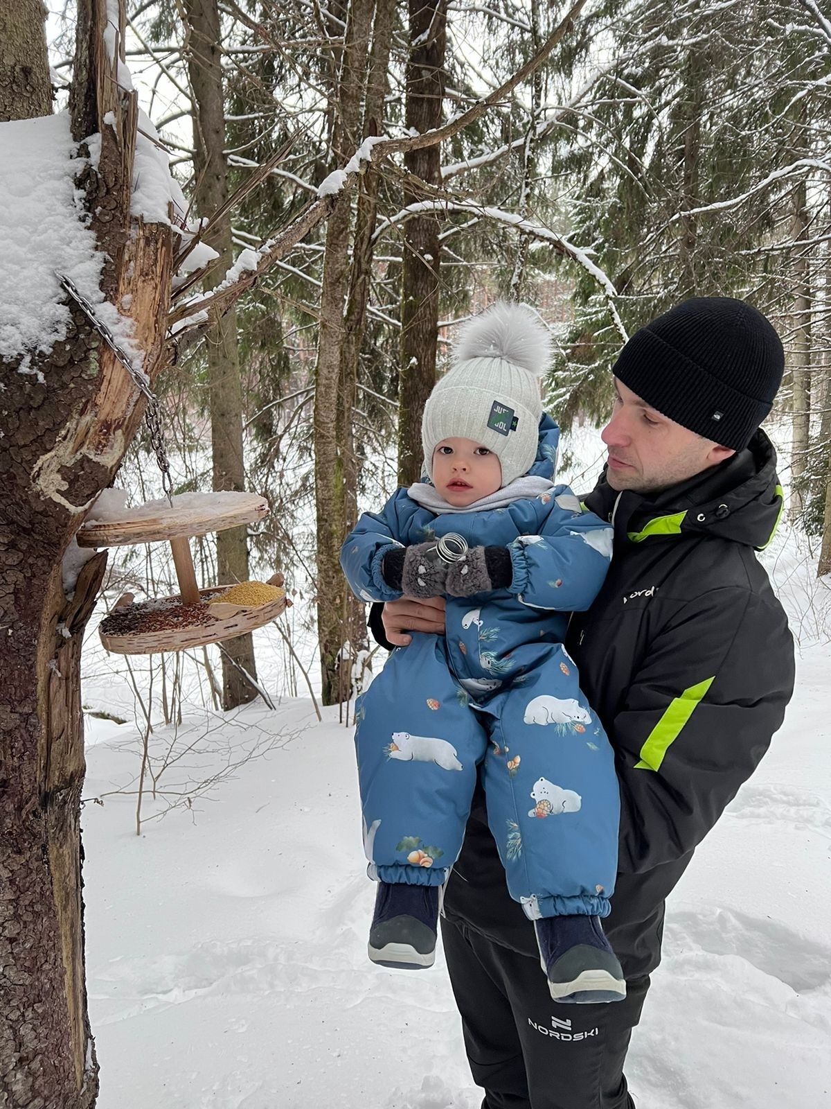Покормите птиц зимой