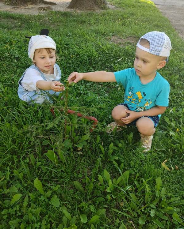 Наблюдения с детьми в летний период