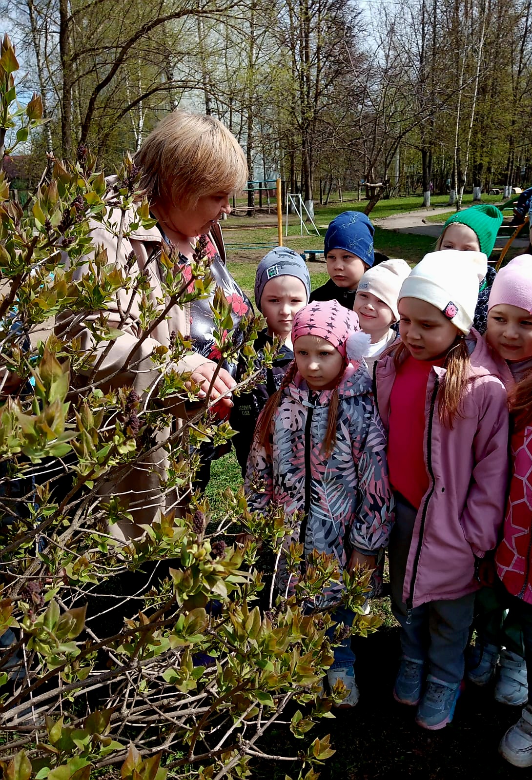 Наблюдение за сиренью