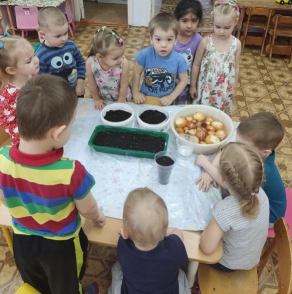 Посадили дети лук