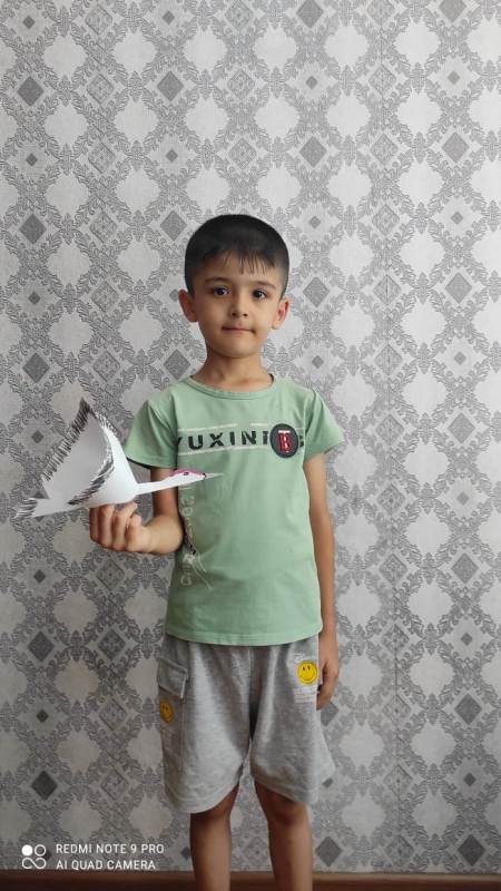 Всероссийская памятная акция «Журавлик»