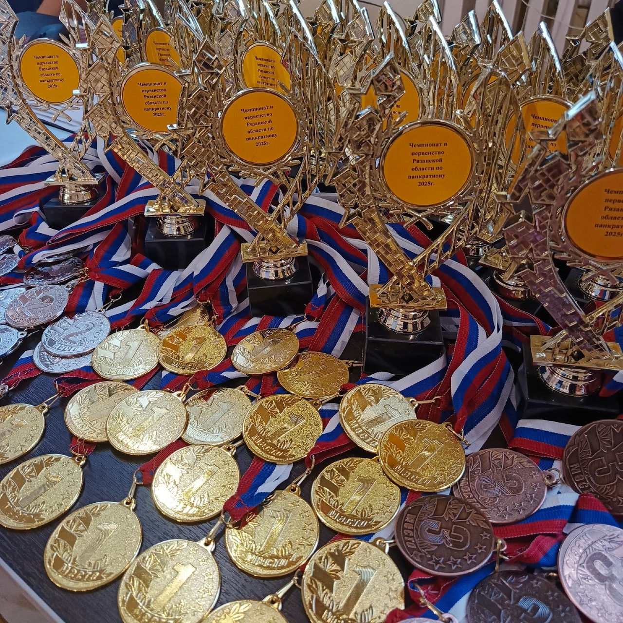 Чемпионат и первенство Рязанской области по спортивной борьбе