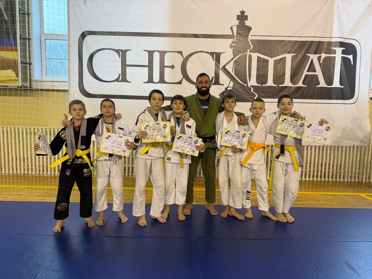 Семинар по джиу-джитсу 