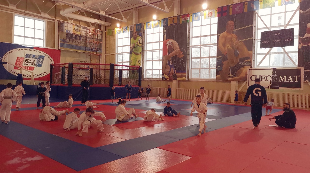 Открытая новогодняя тренировка по джиу-джитсу